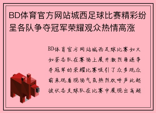BD体育官方网站城西足球比赛精彩纷呈各队争夺冠军荣耀观众热情高涨